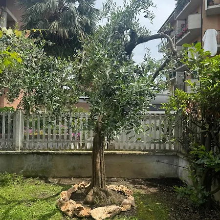 L'ulivo